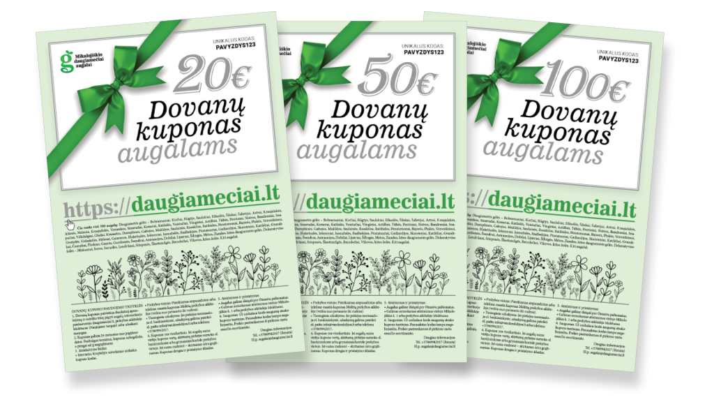 Dovanų kuponai